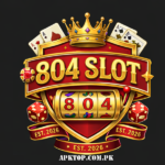804 slot game