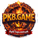 PK8 Game Download