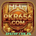 Pkr656 Game App