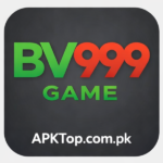 BV999 Game