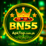 BN55 Game Download.jpg