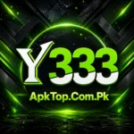 Y 333 Game